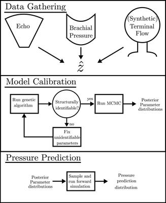 Automated model calibration with parallel MCMC: Applications for a cardiovascular system model